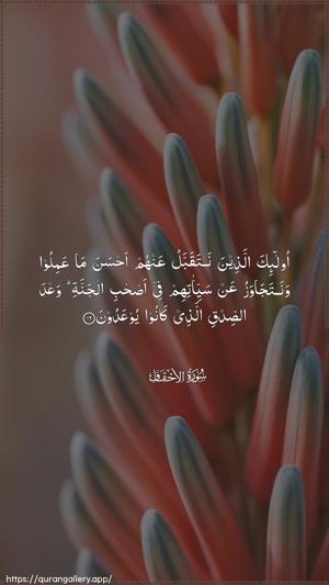 Al-Ahqaf Ayah 16 - Arabic wallpaper