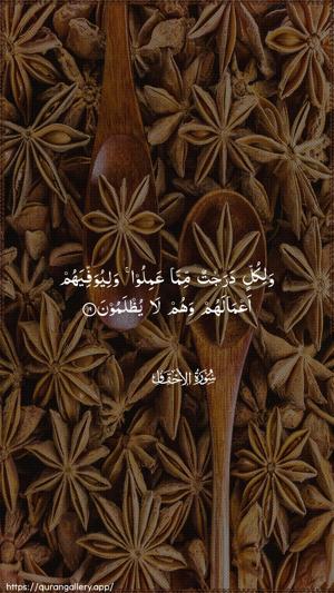 Al-Ahqaf Ayah 19 - Arabic wallpaper
