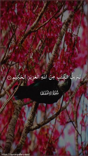 Al-Ahqaf Ayah 2 - Arabic wallpaper