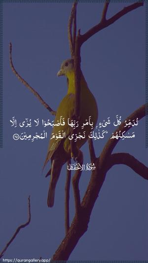 Al-Ahqaf Ayah 25 - Arabic wallpaper