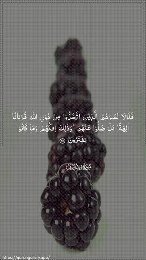 Al-Ahqaf Ayah 28 - Arabic wallpaper