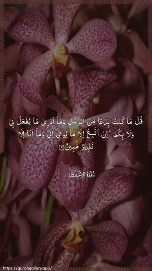 Al-Ahqaf Ayah 9 - Arabic wallpaper