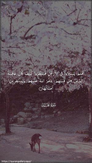 Muhammad Ayah 10 - Arabic wallpaper