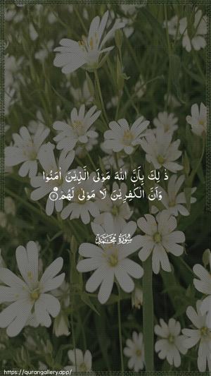 Muhammad Ayah 11 - Arabic wallpaper