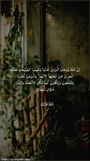 Muhammad Ayah 12 - Arabic wallpaper