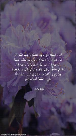 Muhammad Ayah 15 - Arabic wallpaper