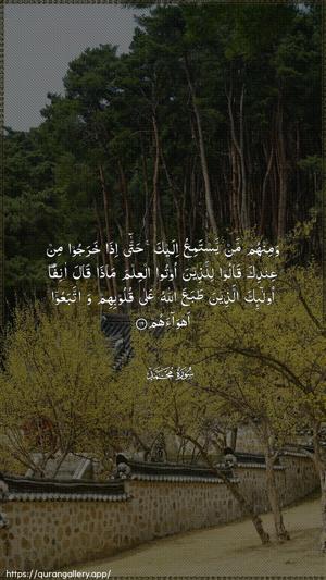 Muhammad Ayah 16 - Arabic wallpaper