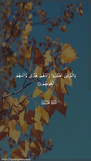 Muhammad Ayah 17 - Arabic wallpaper