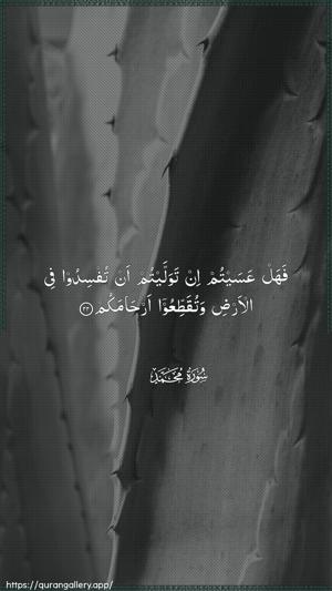 Muhammad Ayah 22 - Arabic wallpaper