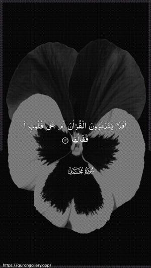 Muhammad Ayah 24 - Arabic wallpaper