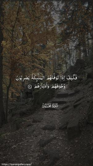 Muhammad Ayah 27 - Arabic wallpaper
