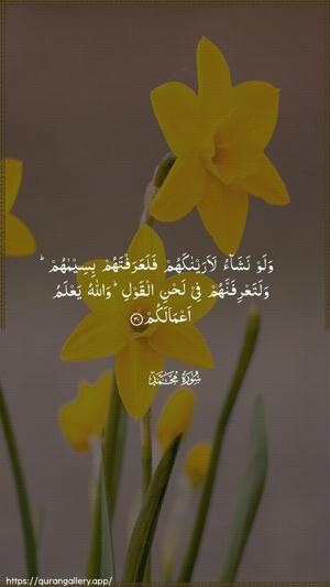 Muhammad Ayah 30 - Arabic wallpaper