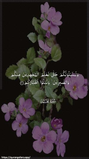 Muhammad Ayah 31 - Arabic wallpaper