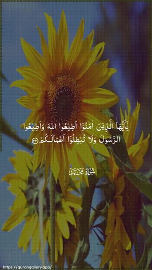 Muhammad Ayah 33 - Arabic wallpaper