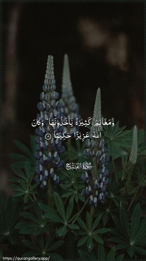 Al-Fath Ayah 19 - Arabic wallpaper