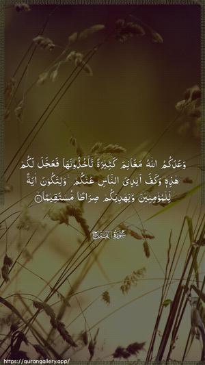 Al-Fath Ayah 20 - Arabic wallpaper