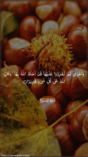 Al-Fath Ayah 21 - Arabic wallpaper