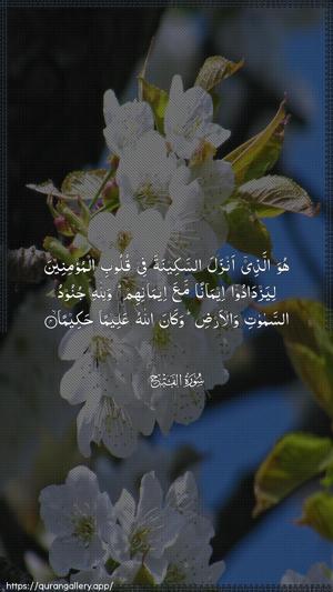 Al-Fath Ayah 4 - Arabic wallpaper