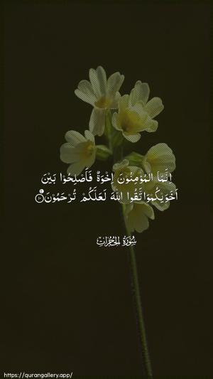 Al-Hujuraat Ayah 10 - Arabic wallpaper
