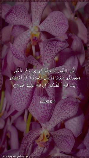 Al-Hujuraat Ayah 13 - Arabic wallpaper