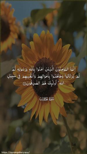 Al-Hujuraat Ayah 15 - Arabic wallpaper