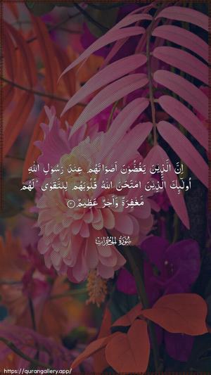 Al-Hujuraat Ayah 3 - Arabic wallpaper