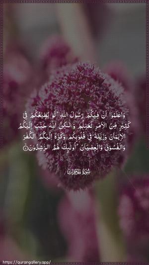 Al-Hujuraat Ayah 7 - Arabic wallpaper