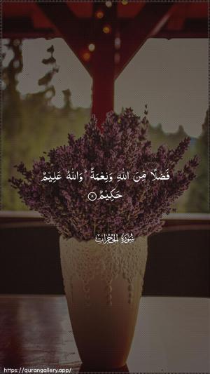 Al-Hujuraat Ayah 8 - Arabic wallpaper