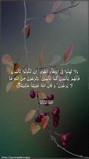 An-Nisaa Ayah 104 - Arabic wallpaper
