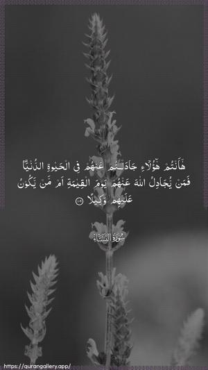 An-Nisaa Ayah 109 - Arabic wallpaper