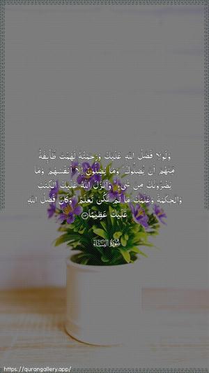 An-Nisaa Ayah 113 - Arabic wallpaper