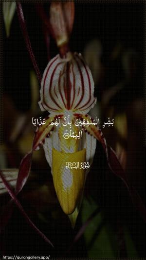 An-Nisaa Ayah 138 - Arabic wallpaper