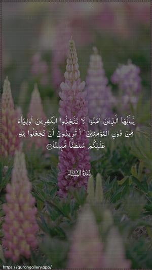 An-Nisaa Ayah 144 - Arabic wallpaper