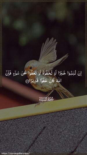 An-Nisaa Ayah 149 - Arabic wallpaper