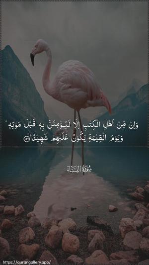 An-Nisaa Ayah 159 - Arabic wallpaper
