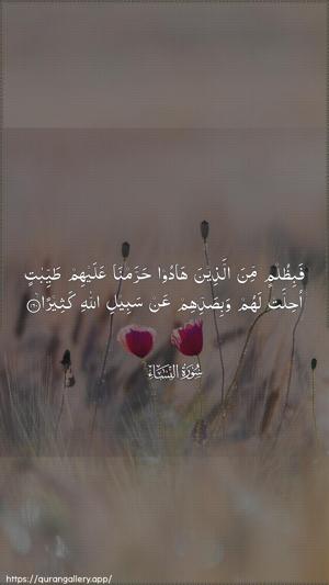 An-Nisaa Ayah 160 - Arabic wallpaper