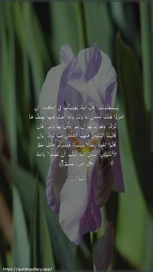 An-Nisaa Ayah 176 - Arabic wallpaper