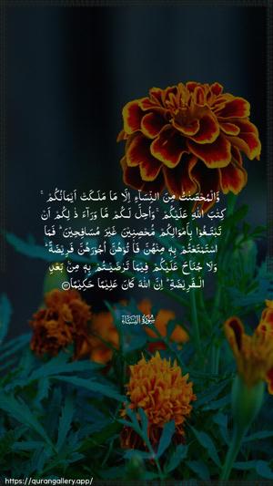 An-Nisaa Ayah 24 - Arabic wallpaper