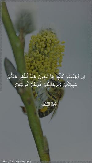 An-Nisaa Ayah 31 - Arabic wallpaper