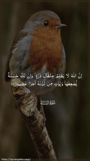 An-Nisaa Ayah 40 - Arabic wallpaper