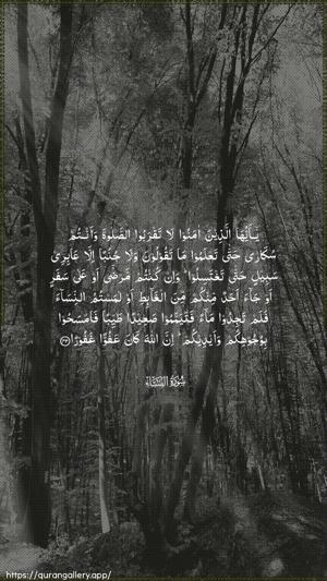 An-Nisaa Ayah 43 - Arabic wallpaper