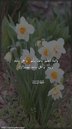 An-Nisaa Ayah 45 - Arabic wallpaper