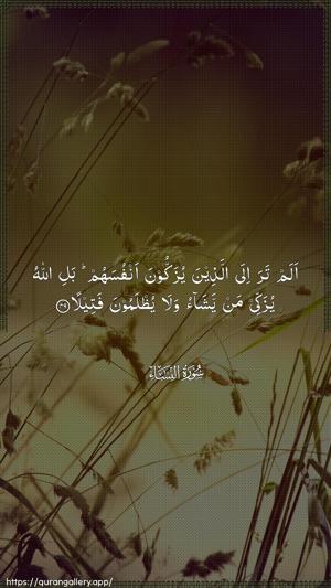 An-Nisaa Ayah 49 - Arabic wallpaper