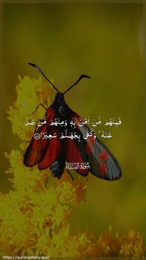 An-Nisaa Ayah 55 - Arabic wallpaper
