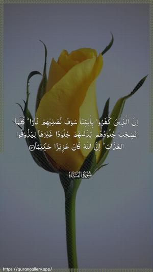 An-Nisaa Ayah 56 - Arabic wallpaper