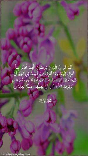 An-Nisaa Ayah 60 - Arabic wallpaper
