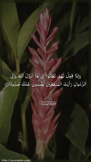 An-Nisaa Ayah 61 - Arabic wallpaper