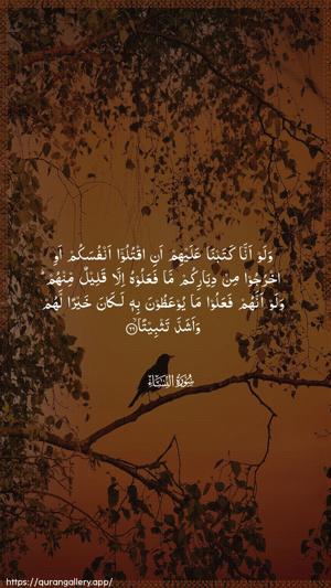 An-Nisaa Ayah 66 - Arabic wallpaper