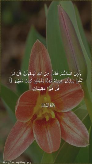 An-Nisaa Ayah 73 - Arabic wallpaper