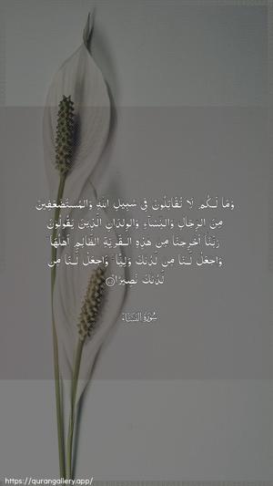 An-Nisaa Ayah 75 - Arabic wallpaper